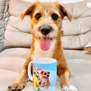 PERSNAPET_INSTAGRAP_PET_QUADRO_CANECA-PERSONALIZADOS_PRESENTE_SAOPAULO_RIO_DE_JANEIRO_PETZ_PETLOVE_FLORIANOPOLIS (3)