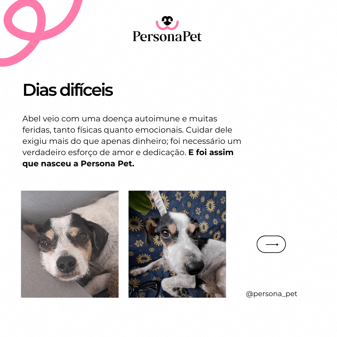 personapet-historia-quadros-canecas-presentes-loja (4)