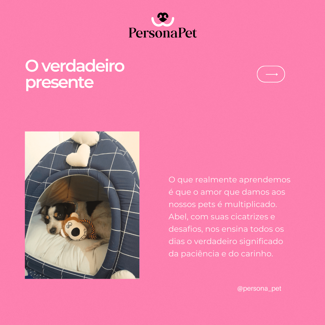 personapet-historia-quadros-canecas-presentes-loja (7)